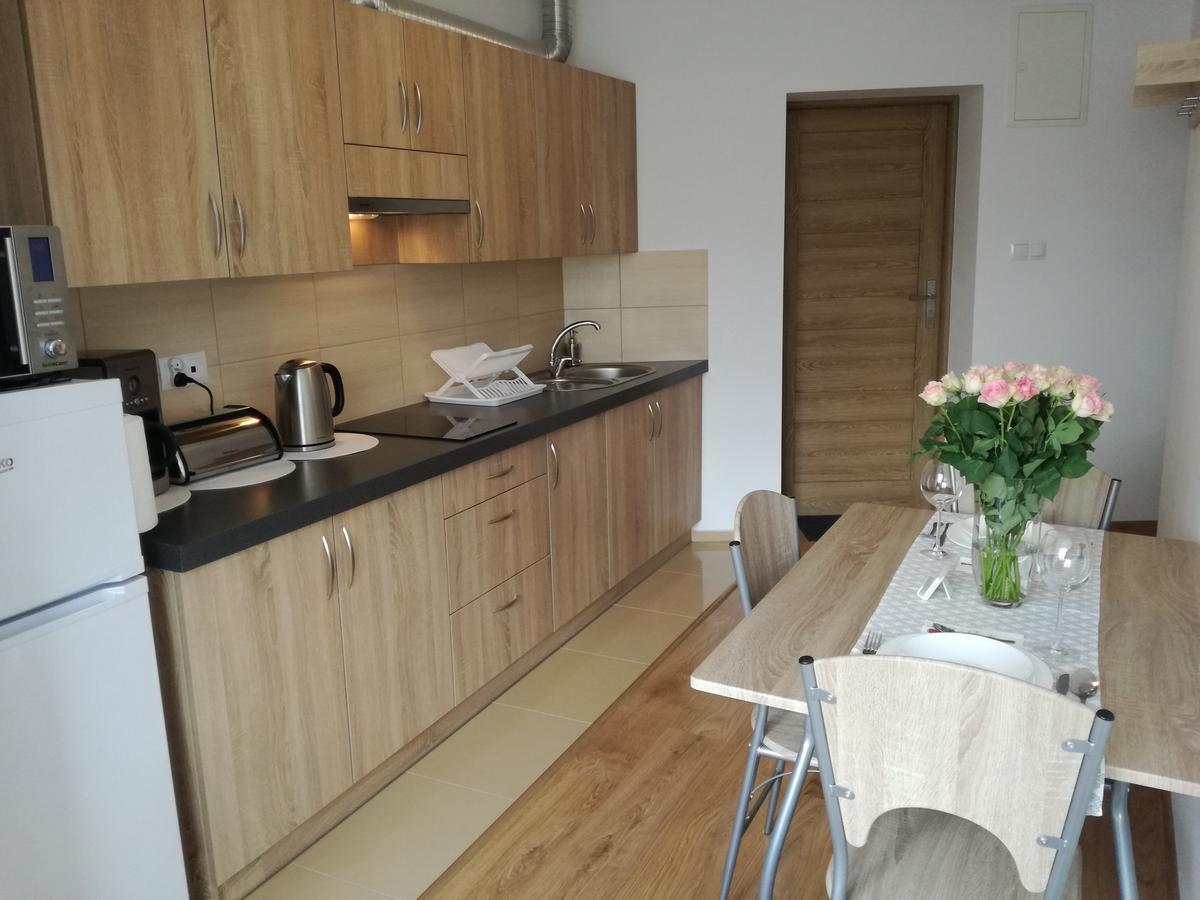 Apartamenty Interdom Закопане Экстерьер фото
